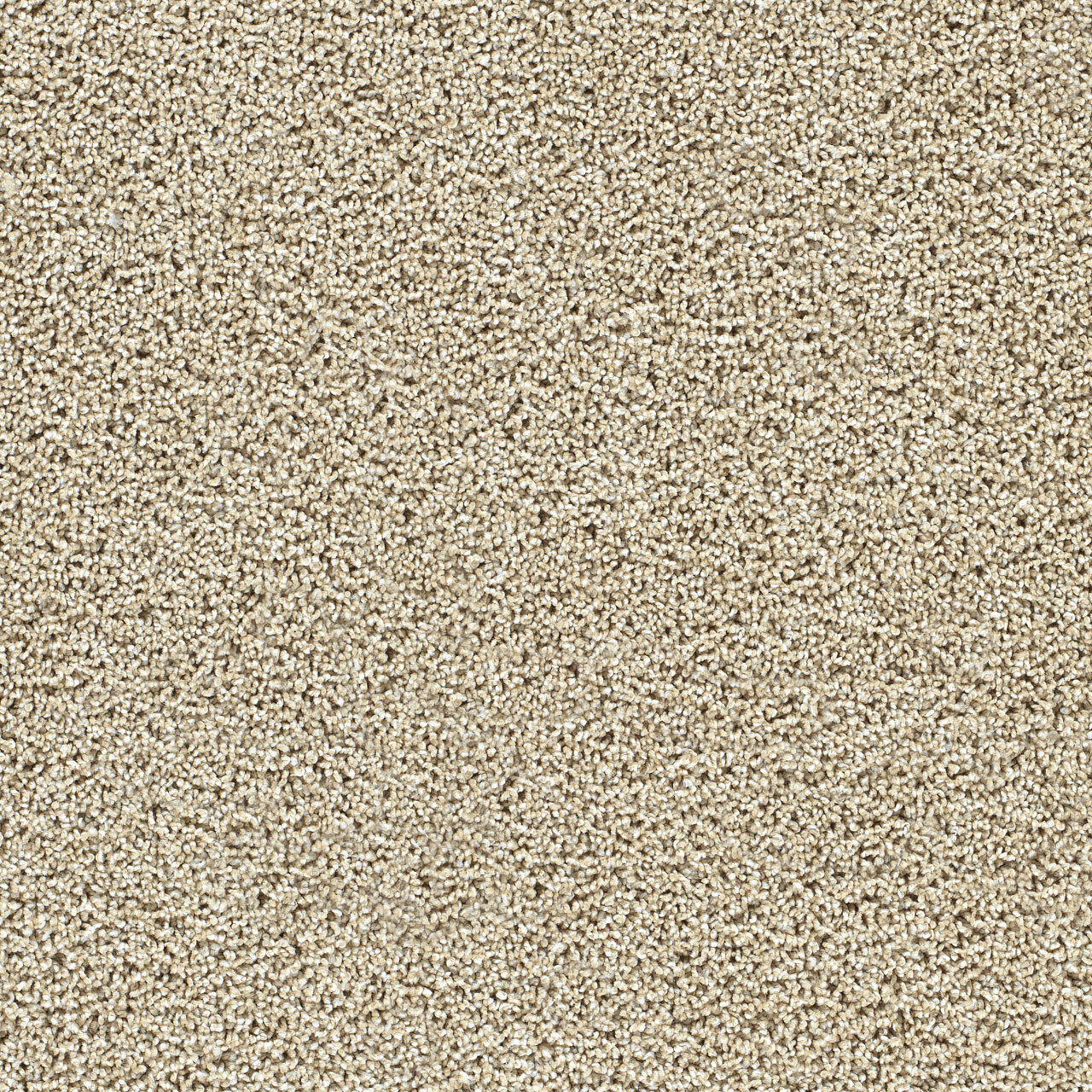 Fresh Start III - Sunflower