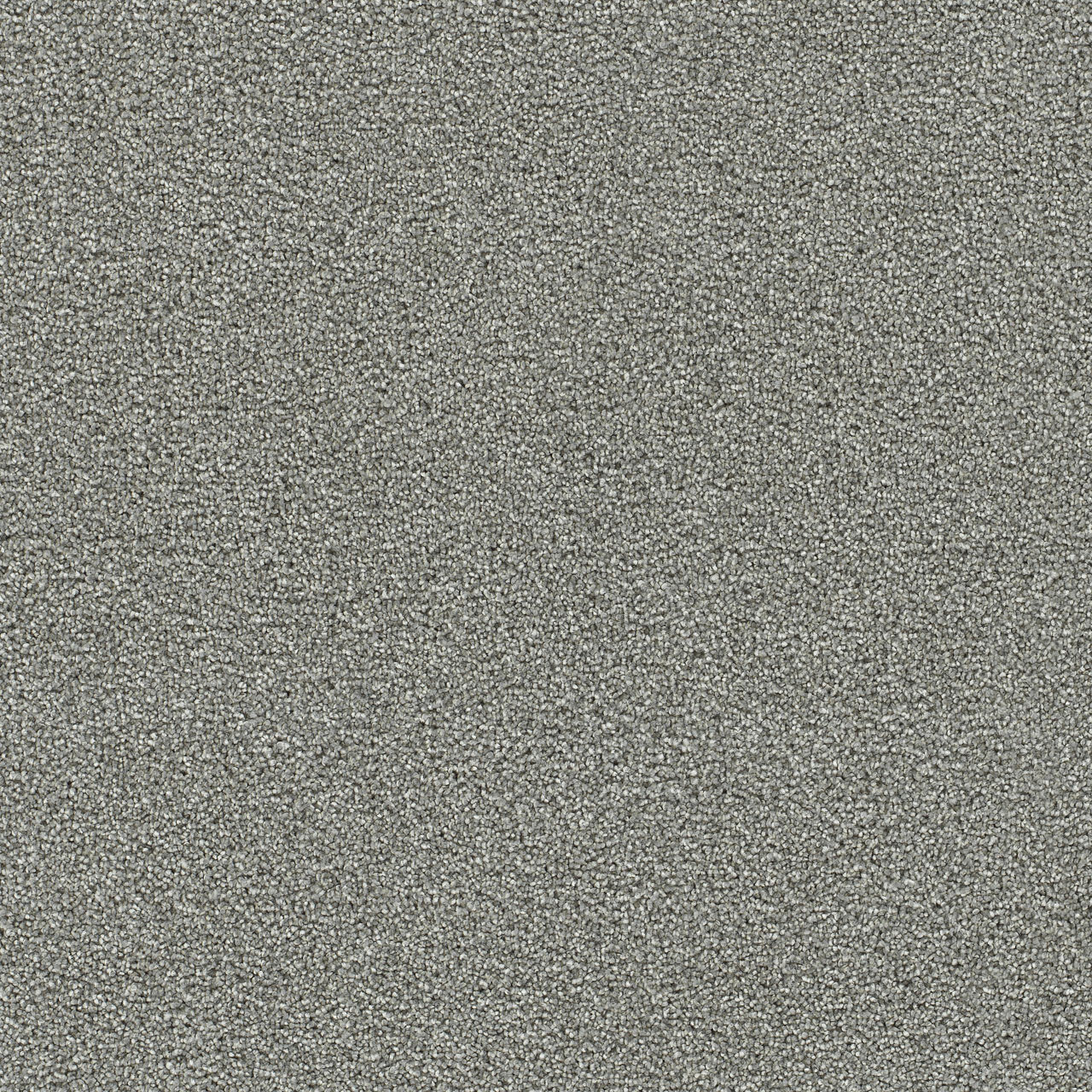 Granite Falls I - Chilly Night