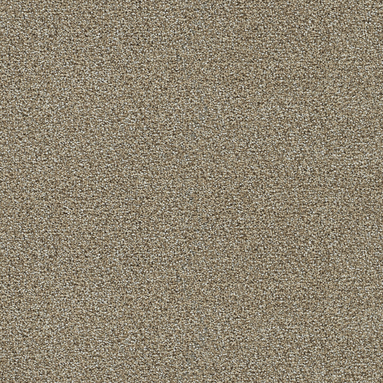 Granite Falls I - Toasted Oat