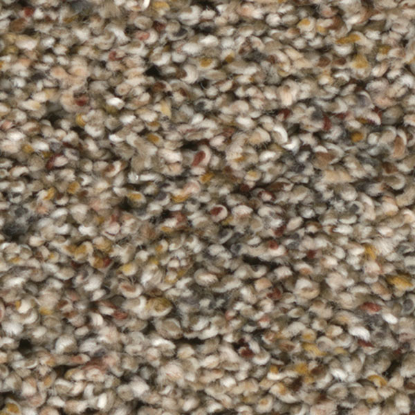 Bourbon Street III - Harmonic Tan