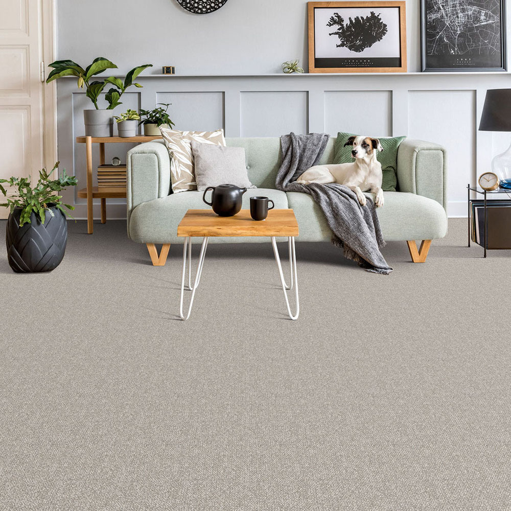 Ponderosa - Pearl Glacier