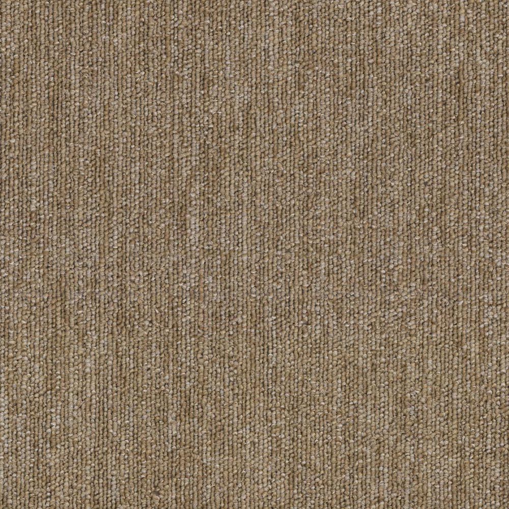 Performer 20 - Bundle