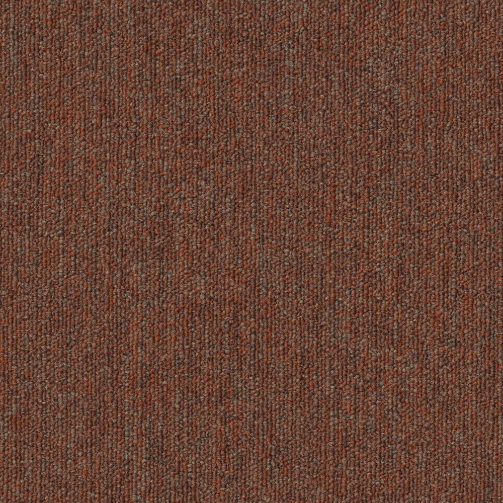 Performer 20 - Surplus