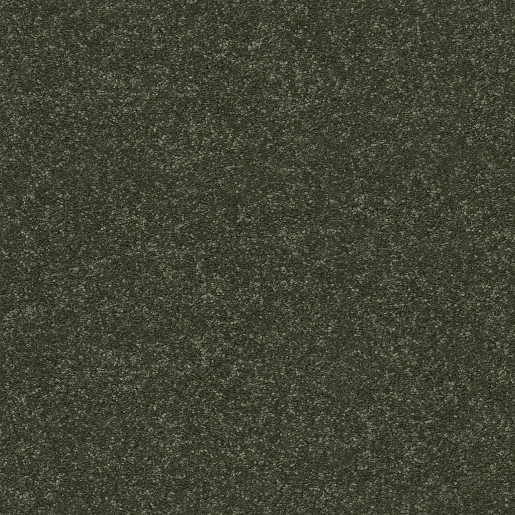 New Tradition III - Rerooted Nature