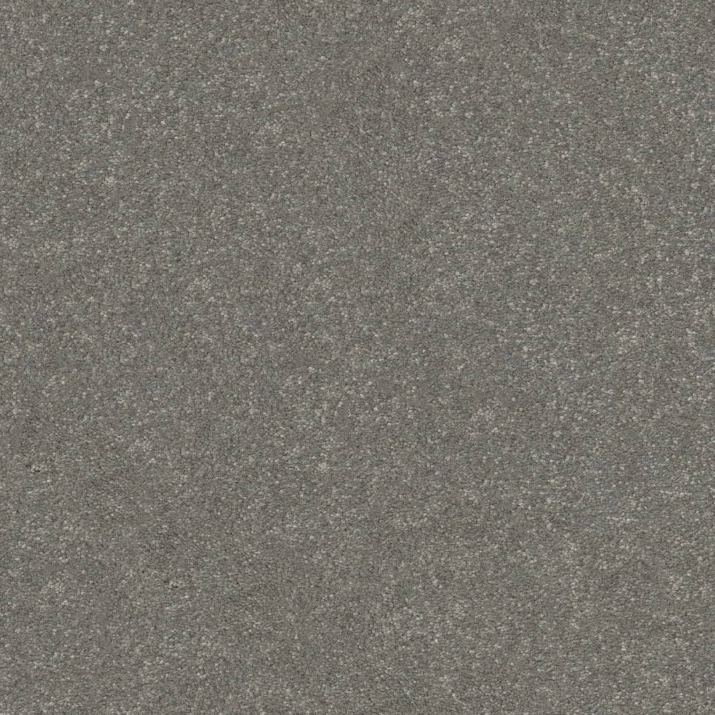 New Tradition III - Shy Sage