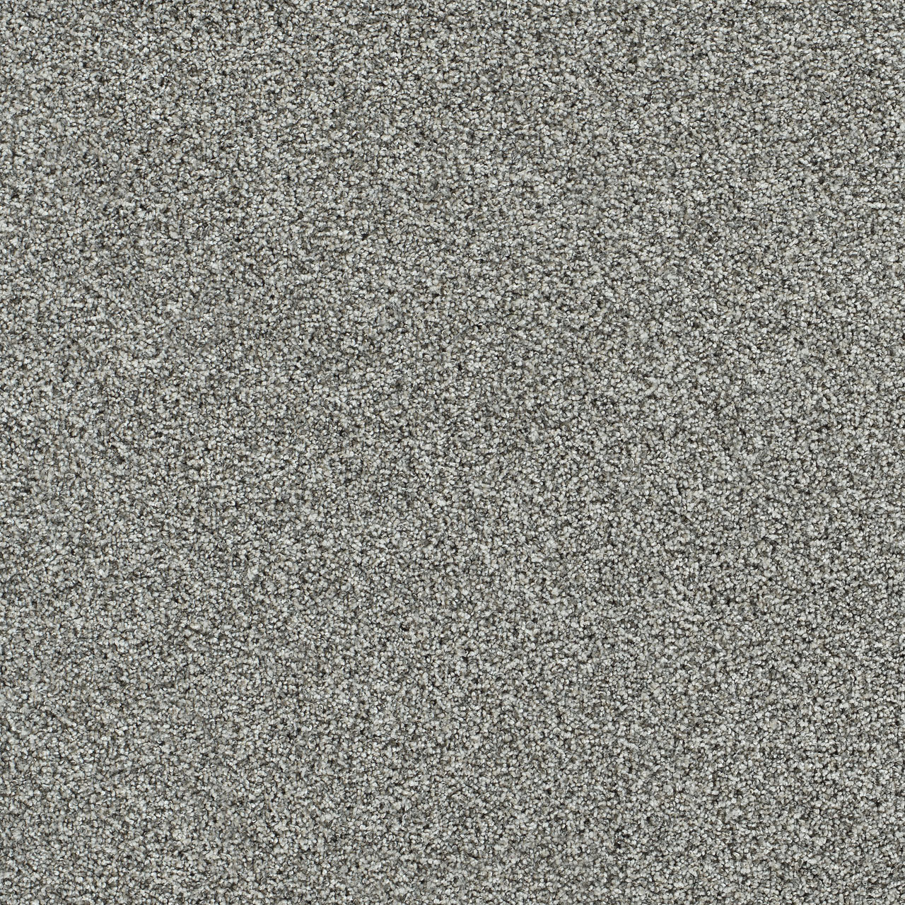 Artistic III - Luminous