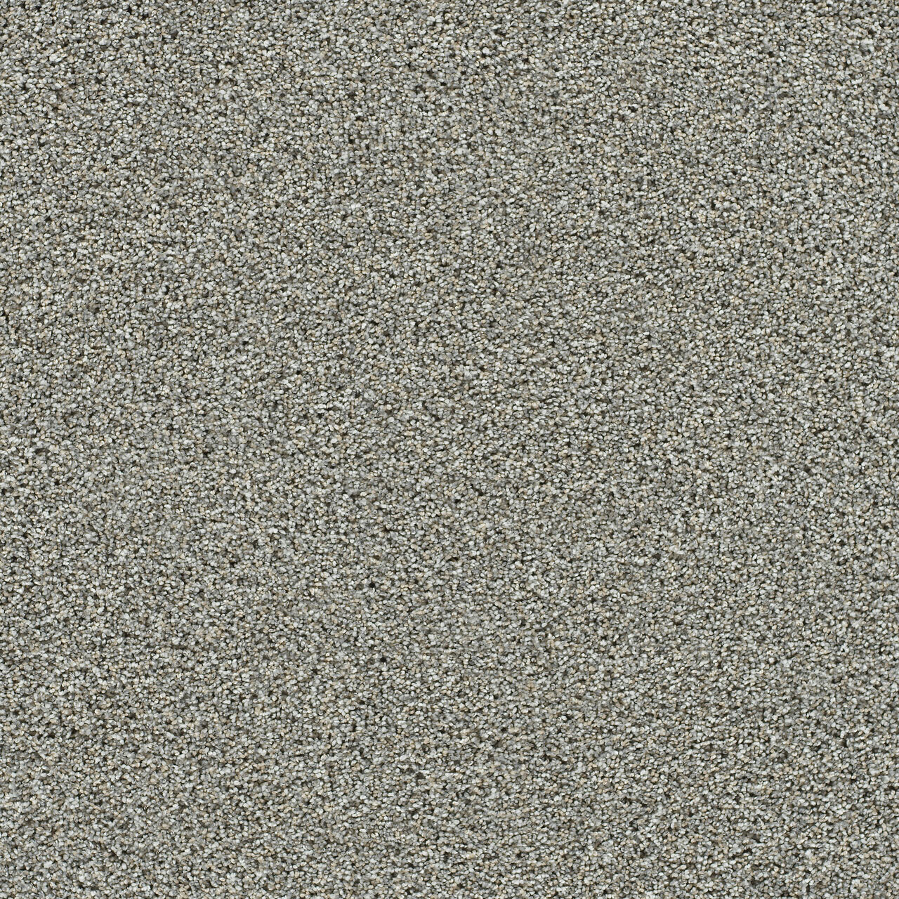 Artistic III - October Mist