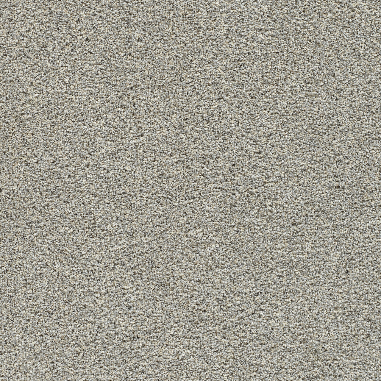 Artistic II - Whisper