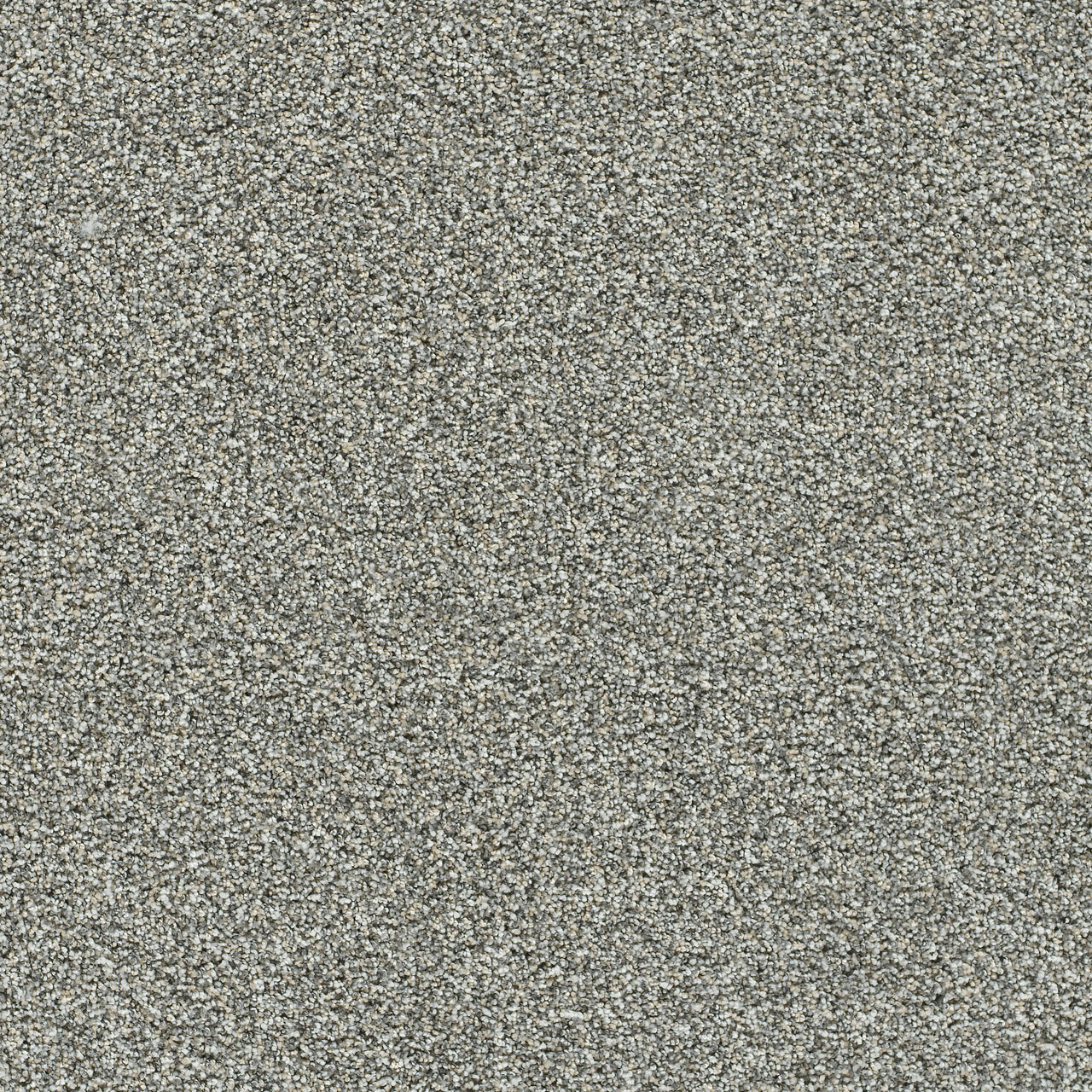 Artistic III - Grand Night