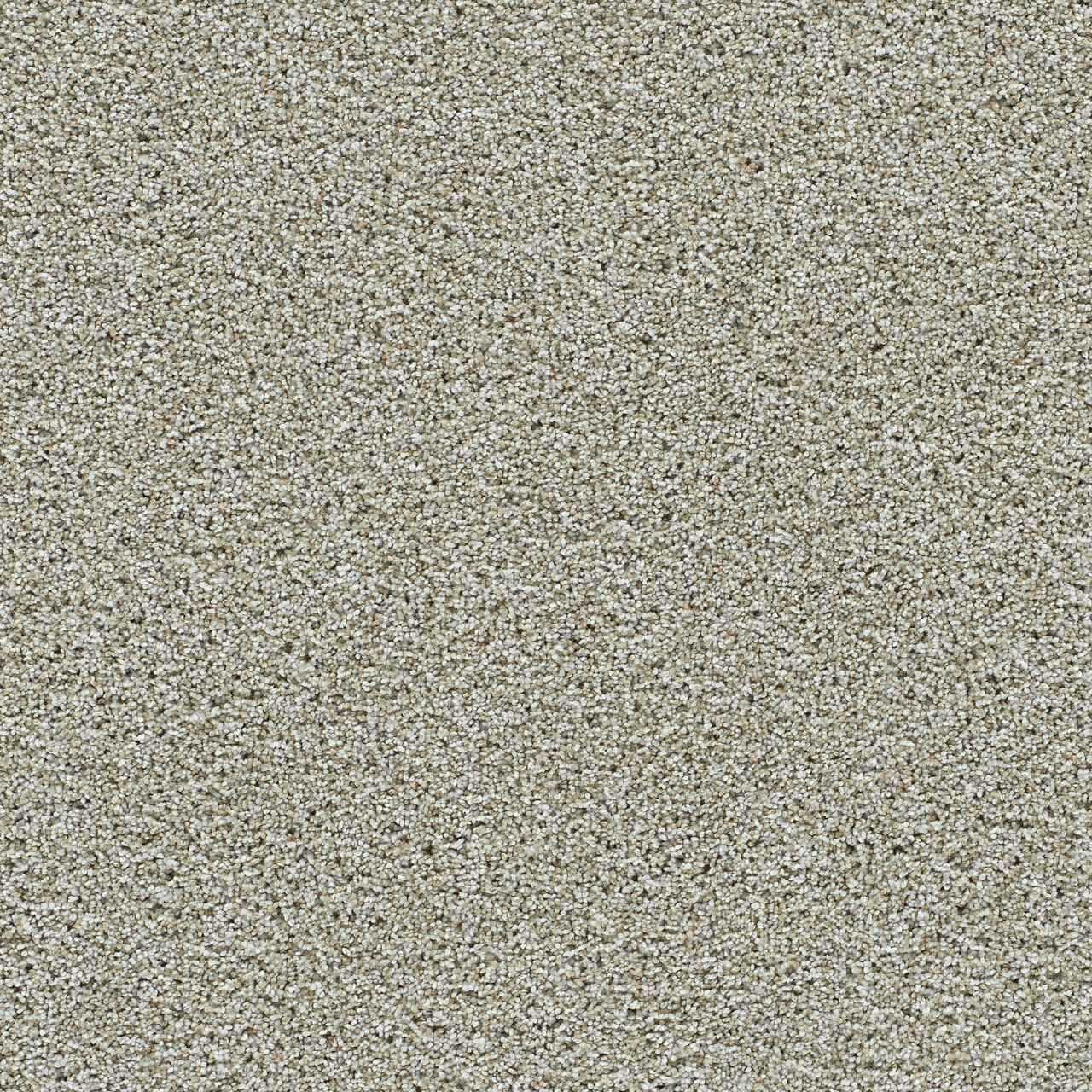 Artistic III - Orchard