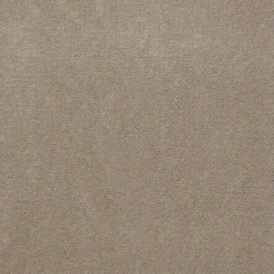 Alliance 30 - Sand Dollar