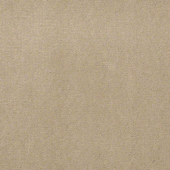 Alliance 36 - Biscotti