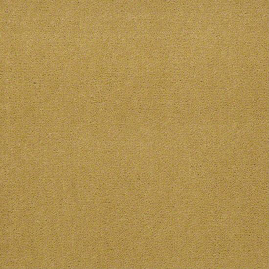 Alliance 36 - Tuscan Sun