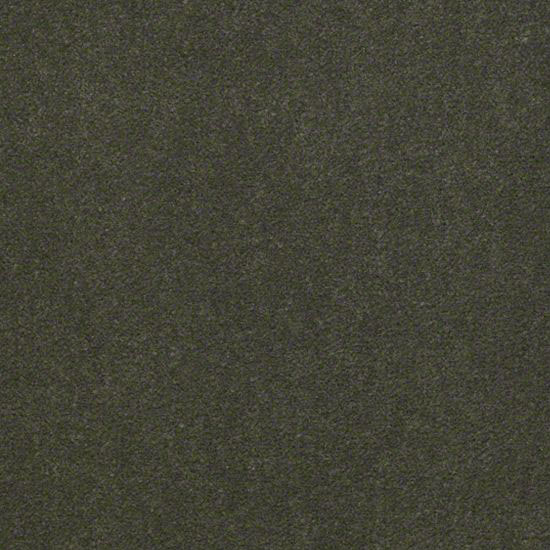 Alliance 36 - Palm Breeze