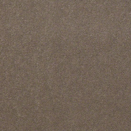 Alliance 36 - Bashful Taupe