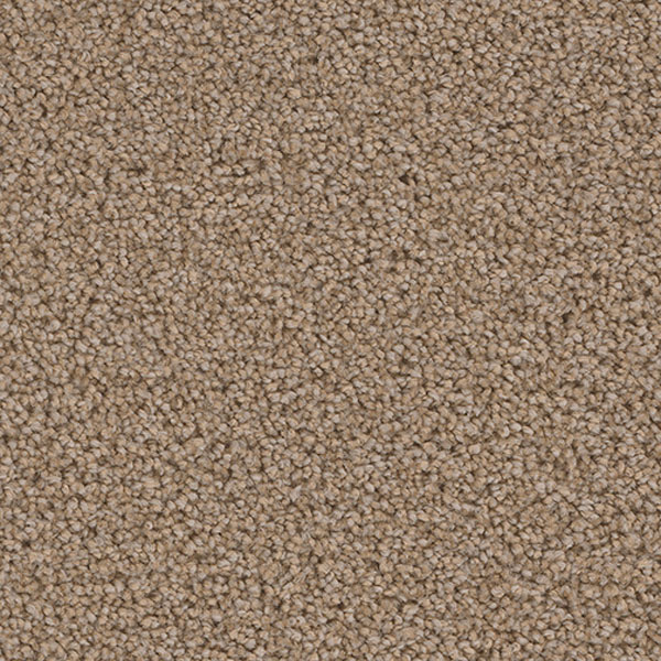 Blockbuster Plus - Tigris