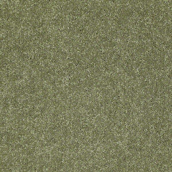 Star Lite I - Going Green
