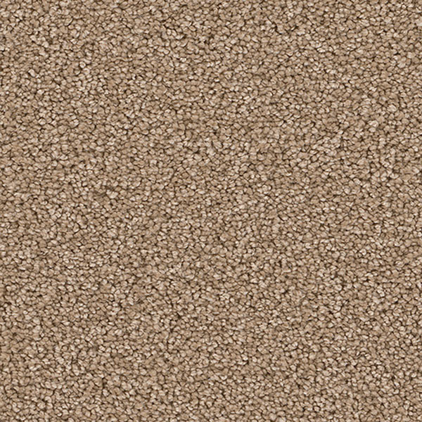 Pacific Heights II - Bamboo