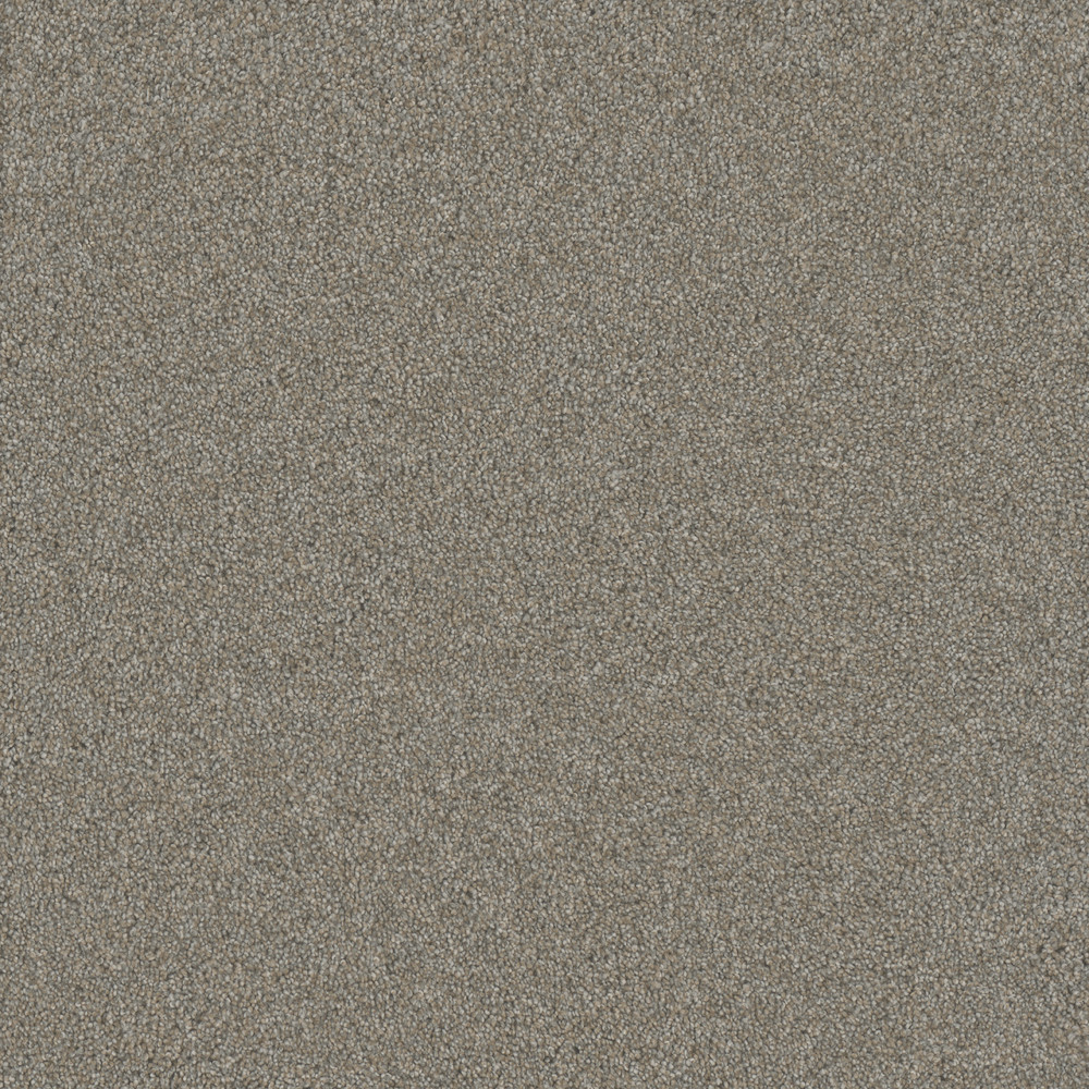 Heart of Gold III - Cirrus